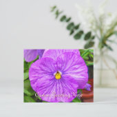 Roze Paars Pansy Flower Briefkaart (Staand voorkant)