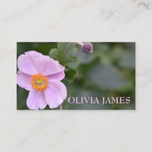 Roze Paarse bloem Natuur Tuinfoto Visitekaartje