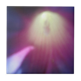 Roze-Paarse bloemige Tegel Tegeltje