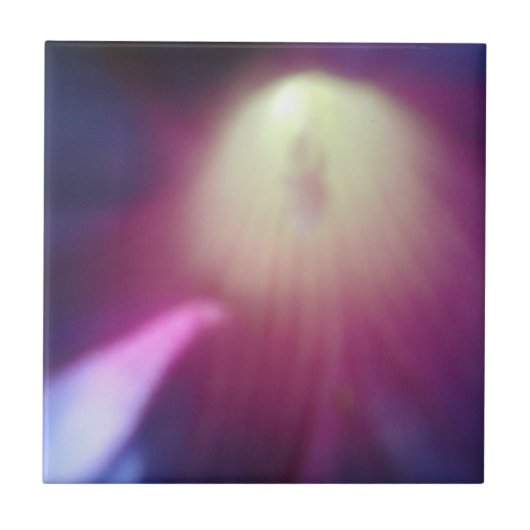 Roze-Paarse bloemige Tegel Tegeltje (Voorkant)