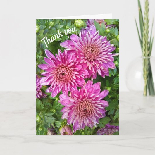 Roze-paarse chrysanten met regendruppels bedankkaart (Voorkant)