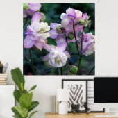 Roze Paarse Columbinebloemen Poster (Thuiskantoor)