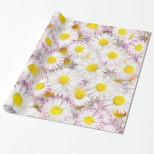 Roze Paarse Daisy Flower Pattern Cadeaupapier (Uitgerold)
