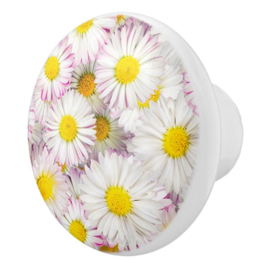 Roze Paarse Daisy Flower Pattern Keramische Knop (Rechts)