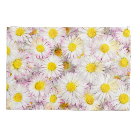Roze Paarse Daisy Flower Pattern Kussensloop (Achterkant-Links)