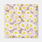 Roze Paarse Daisy Flower Pattern Magneet (Voorkant)