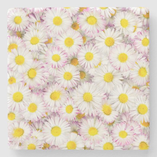 Roze Paarse Daisy Flower Pattern Stenen Onderzetter (Voorkant)
