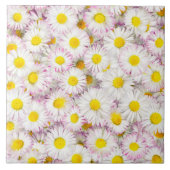 Roze Paarse Daisy Flower Pattern Tegeltje (Voorkant)