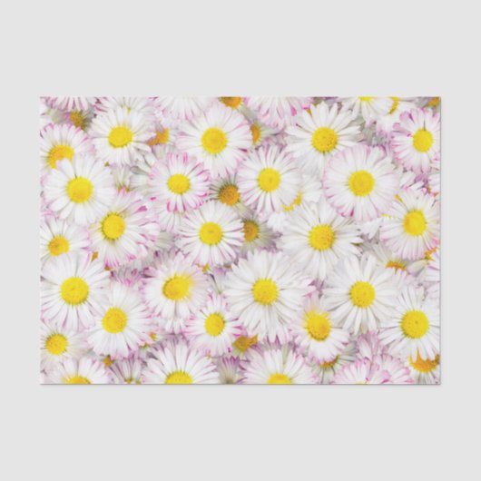 Roze Paarse Daisy Flower Pattern Tissuepapier (Voorkant)