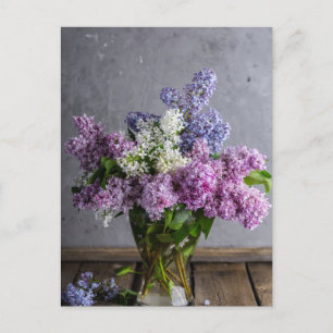 Roze, Paarse en Witte Lilacs Foto Briefkaart