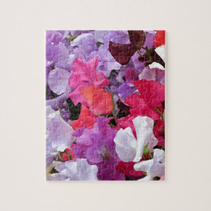 Roze, paarse en witte zoete peulbloemen in bloei legpuzzel