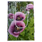 Roze Paarse Klaprozen Mauve Paars Aquarel Medium Medium Cadeauzakje (Achterkant)