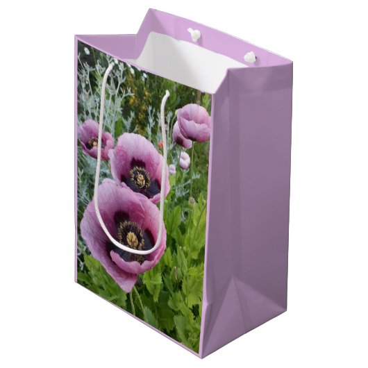 Roze Paarse Klaprozen Mauve Paars Aquarel Medium Medium Cadeauzakje (Voorkant Gekanteld)