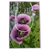 Roze Paarse Klaprozen Mauve Paars Aquarel Medium Medium Cadeauzakje (Voorkant)