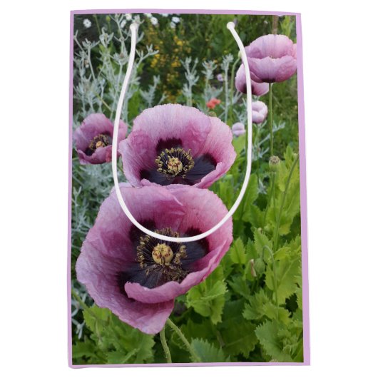 Roze Paarse Klaprozen Mauve Paars Aquarel Medium Medium Cadeauzakje (Voorkant)