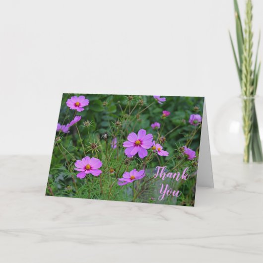 Roze Paarse Kosmos Bloem Dank u Bericht Bedankkaart (Voorkant)