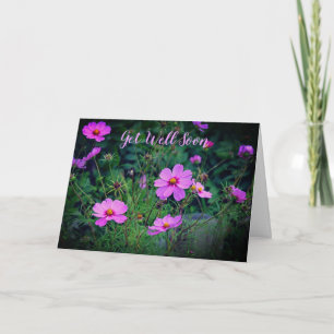 Roze Paarse kosmos bloem wordt snel goed Kaart