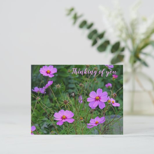 Roze Paarse kosmos Vloeiend denken van u Briefkaart (Staand voorkant)