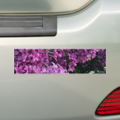 Roze paarse lilacs | roze roze foto bumpersticker (Op auto)