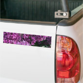 Roze paarse lilacs | roze roze foto bumpersticker (Op Truck)