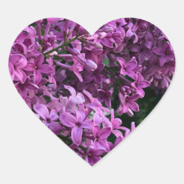 Roze paarse lilacs | roze roze foto hart sticker