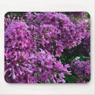 Roze paarse lilacs   roze roze foto muismat