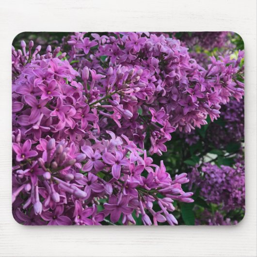 Roze paarse lilacs | roze roze foto muismat (Voorkant)