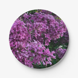Roze paarse lilacs   roze roze foto papieren bordje