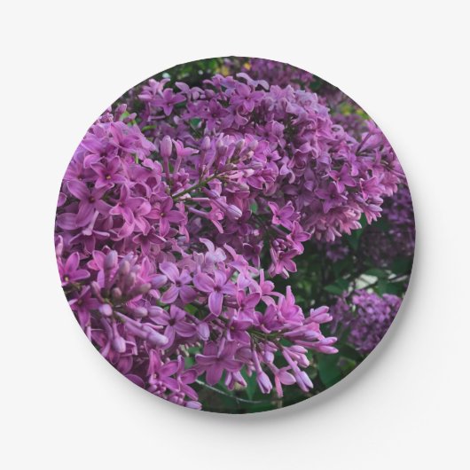 Roze paarse lilacs | roze roze foto papieren bordje (Voorkant)