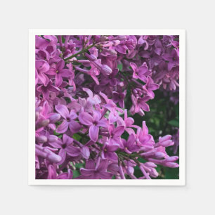 Roze paarse lilacs   roze roze foto servet