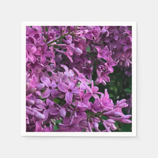 Roze paarse lilacs | roze roze foto servet (Voorkant)