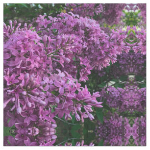 Roze paarse lilacs roze roze foto stof