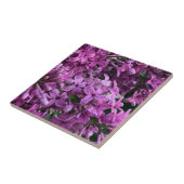 Roze paarse lilacs | roze roze foto tegeltje (Zijkant)