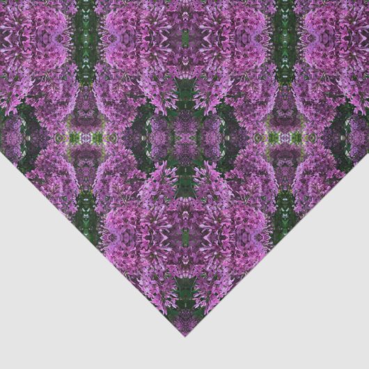 Roze paarse lilacs | roze roze foto tissuepapier (Detail)