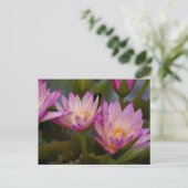 Roze Paarse lileuzen briefkaart (Staand voorkant)