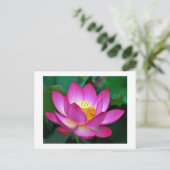 Roze Paarse Lotus Bloem Blank Bloemen Briefkaart (Staand voorkant)