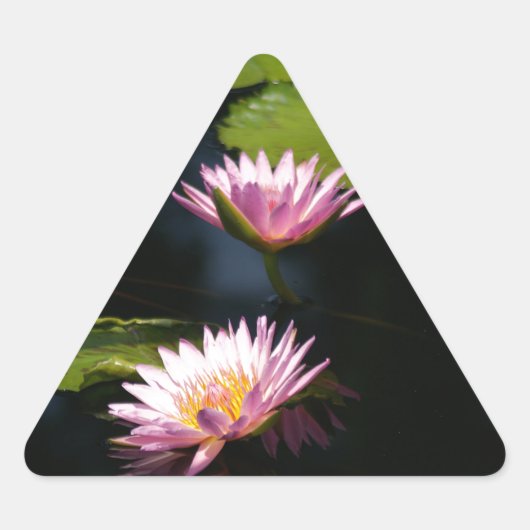 Roze Paarse Lotus Waterlilies Sticker (Voorkant)