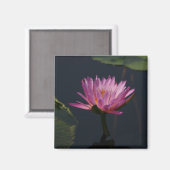Roze Paarse Lotus Waterlily magnet (Voorkant / Achterkant)