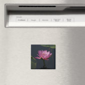 Roze Paarse Lotus Waterlily magnet (Insitu (Vaatwasser))
