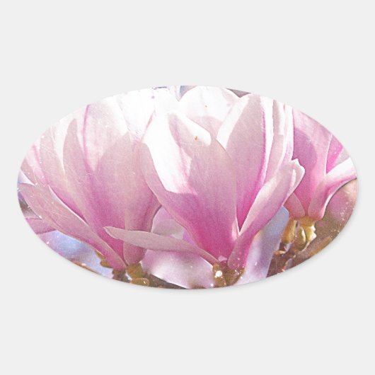 Roze Paarse Magnolia - Lentbloem Ovale Sticker (Voorkant)