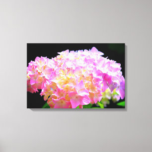 Roze paarse oranje hydrangeas canvas afdruk