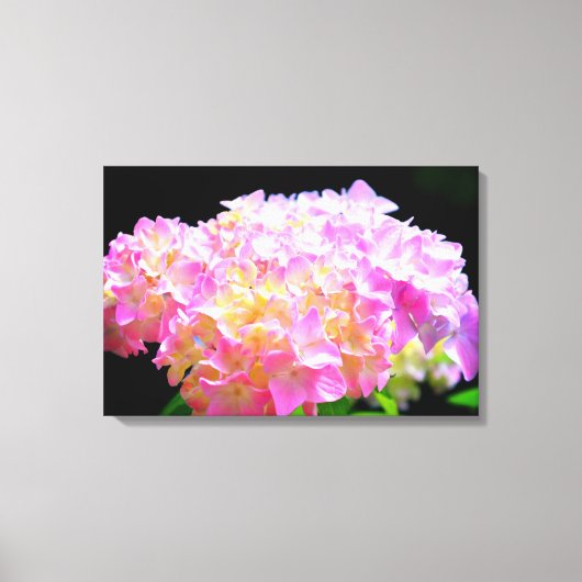 Roze paarse oranje hydrangeas canvas afdruk (Voorkant)