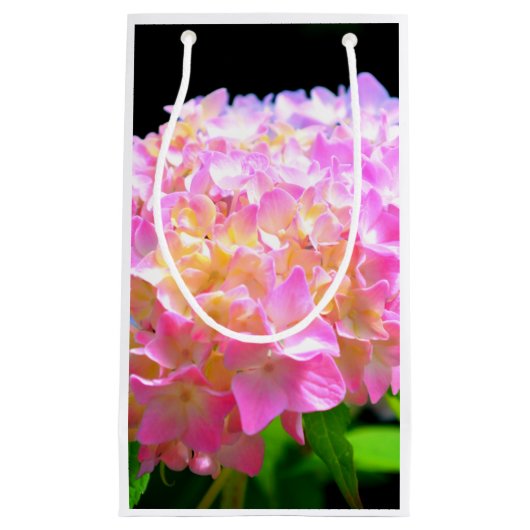 Roze paarse oranje hydrangeas klein cadeauzakje (Voorkant)