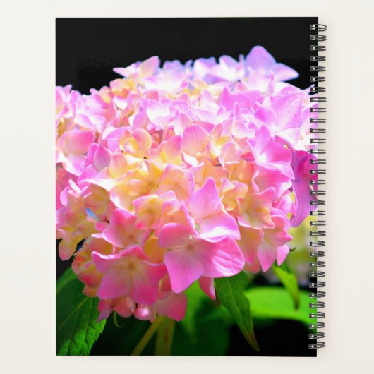 Roze paarse oranje hydrangeas voor haar planner (Achterkant)