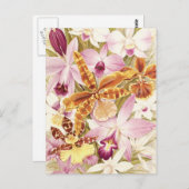 Roze Paarse orchidee bloemen  bloemen Briefkaart (Voorkant / Achterkant)