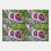 Roze Paarse papaver Mauve Paars Flower Gift Inpakpapier Vel (Voorkant 3)