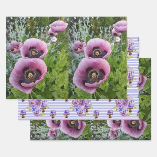 Roze Paarse papaver Mauve Paars Flower Gift Inpakpapier Vel (Set)