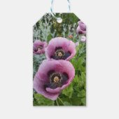 Roze Paarse papaver Mauve Paarse ventilator Cadeaulabel (Voorkant)