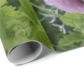 Roze Paarse papavers Vloeiend papier (Rol Hoek)