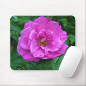roze, paarse roos bloem muismat (Met muis)
